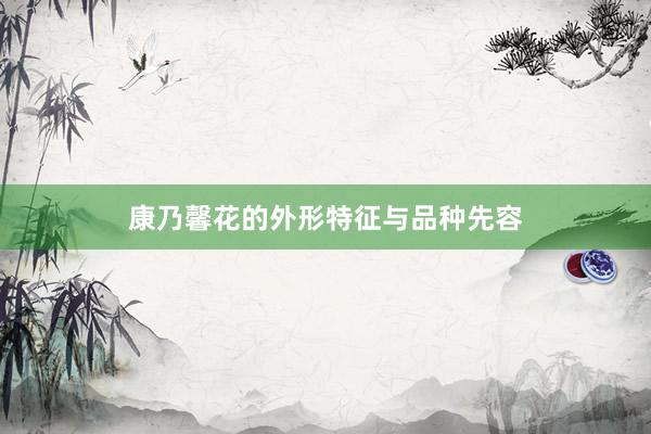 康乃馨花的外形特征与品种先容