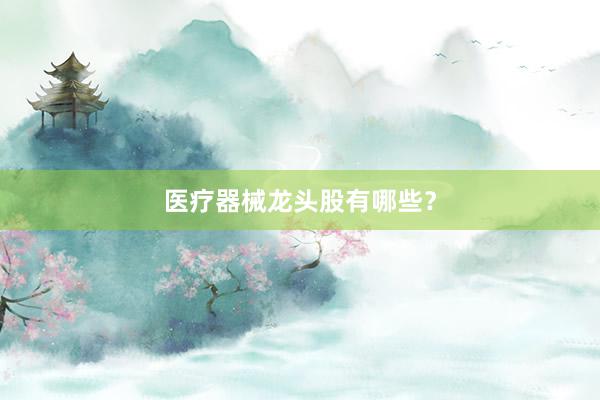 医疗器械龙头股有哪些？