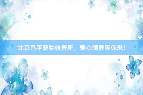 北京昌平宠物收养所，爱心领养等你来！