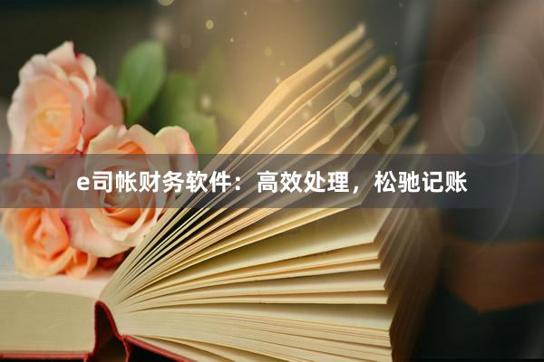 e司帐财务软件：高效处理，松驰记账
